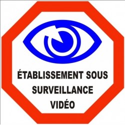 Autocollant Sticker VidéoSurveillance Etablissement 
