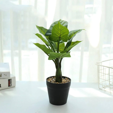 Caméra espion cachée dans un pot de fleurs - plante