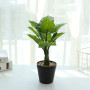 Caméra espion cachée dans un pot de fleurs - plante