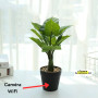 Caméra espion cachée dans un pot de fleurs - plante