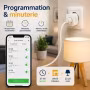 Prise connectée WiFi 16A – Tuya, Alexa, Google Home