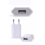 Adaptateur chargeur secteur USB pour mini caméra espion