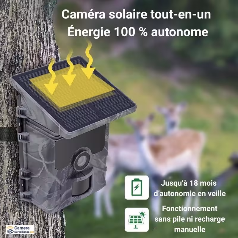 Caméra extérieure autonome solaire