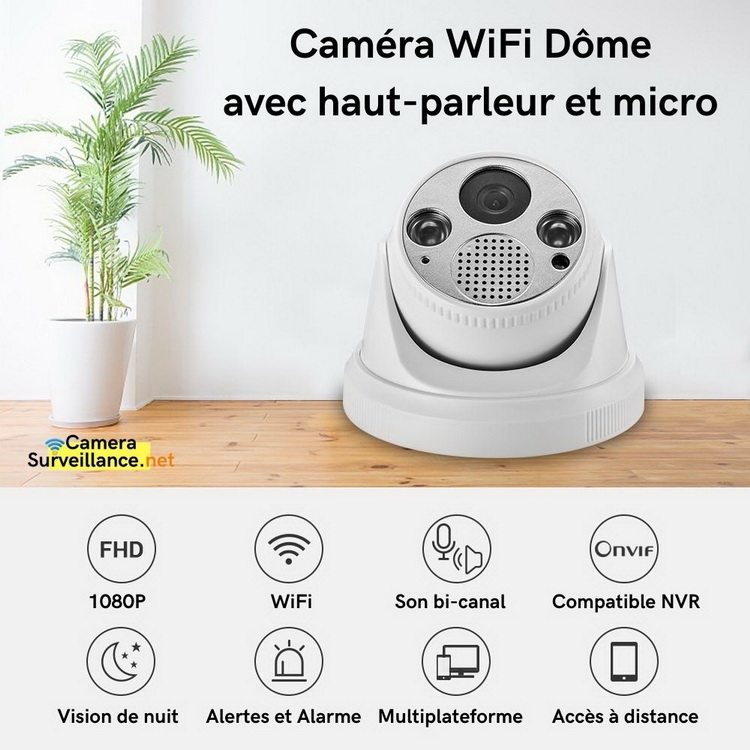 Caméra WiFi dôme intérieur haut-parleur micro