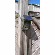 caméra de chasse
