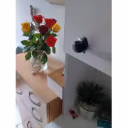 mini caméra surveillance maison